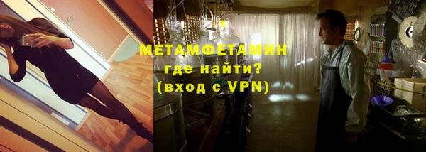 индика Каменка