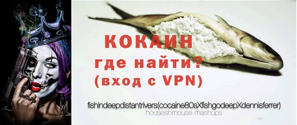 скорость Каменногорск