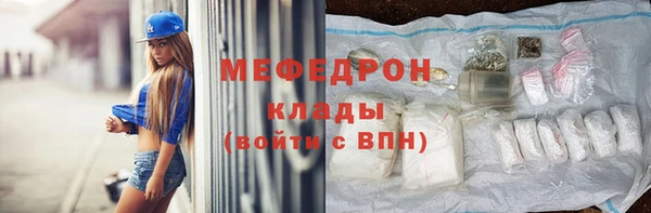 индика Каменка