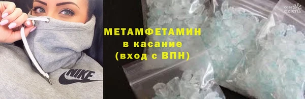 индика Каменка
