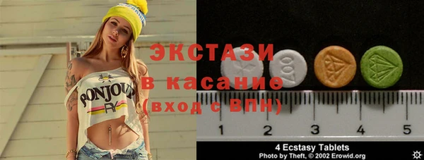индика Каменка