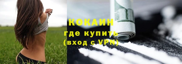 индика Каменка