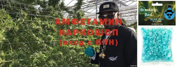 шишки Карпинск