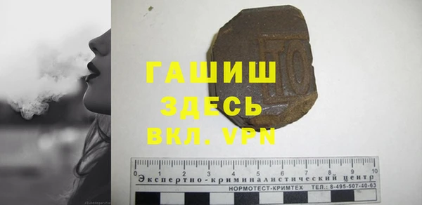 индика Каменка