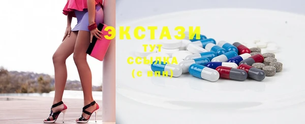 индика Каменка