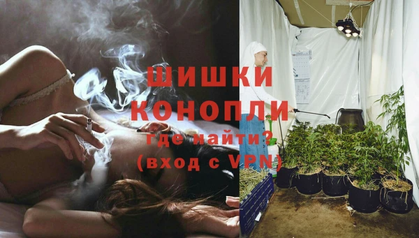 индика Каменка