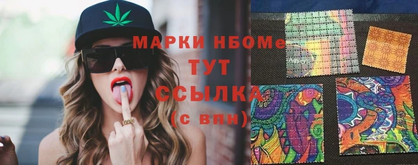 индика Каменка