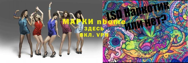 индика Каменка