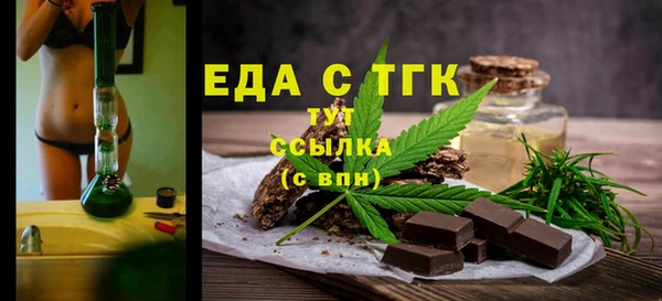 индика Каменка