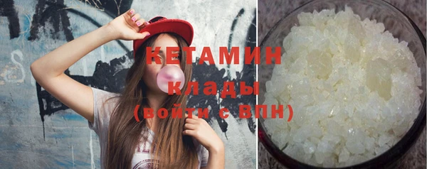 индика Каменка
