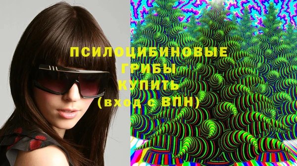 скорость Каменногорск