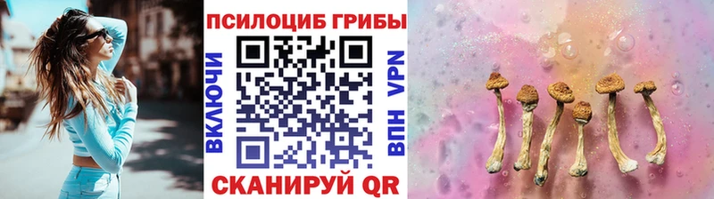 Купить закладки  Вязьма  Псилоцибиновые грибы мухоморы 